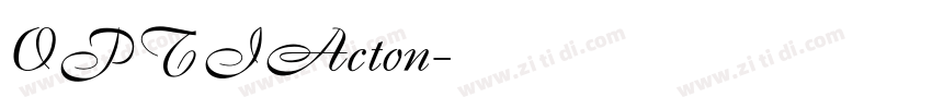 OPTIActon字体转换