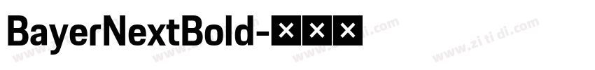 BayerNextBold字体转换