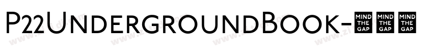 P22UndergroundBook字体转换