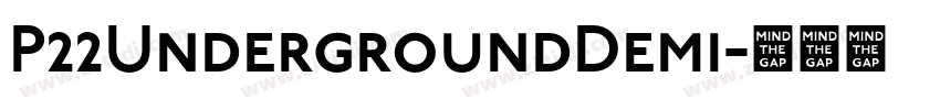 P22UndergroundDemi字体转换 P22UndergroundDemi字体转换