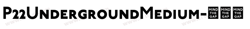 P22UndergroundMedium字体转换 P22UndergroundMedium字体转换