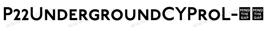 P22UndergroundCYProL字体转换