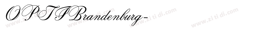 OPTIBrandenburg字体转换