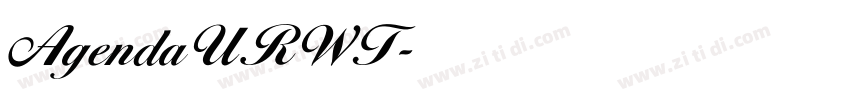 AgendaURWT字体转换