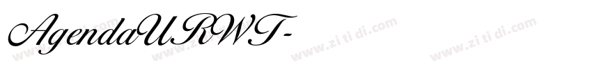 AgendaURWT字体转换