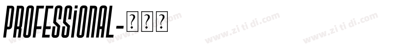 professional字体转换