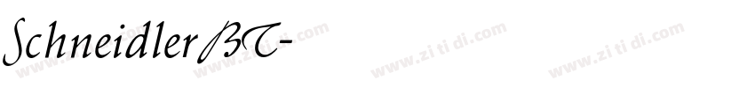 SchneidlerBT字体转换