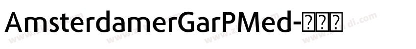 AmsterdamerGarPMed字体转换