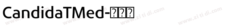 CandidaTMed字体转换