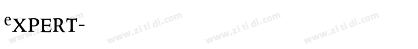 Expert字体转换