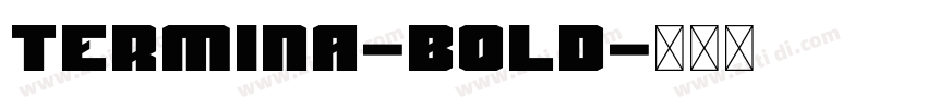Termina-bold字体转换