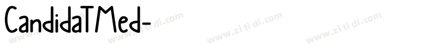 CandidaTMed字体转换
