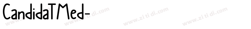 CandidaTMed字体转换