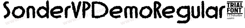 SonderVPDemoRegular字体转换 SonderVPDemoRegular字体转换