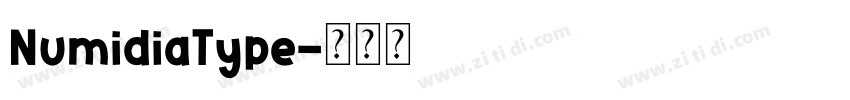 NumidiaType字体转换