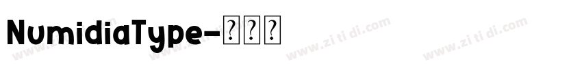 NumidiaType字体转换