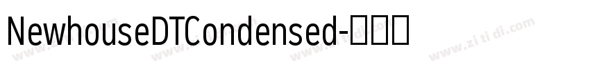 NewhouseDTCondensed字体转换