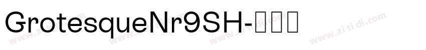 GrotesqueNr9SH字体转换