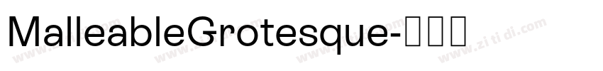 MalleableGrotesque字体转换