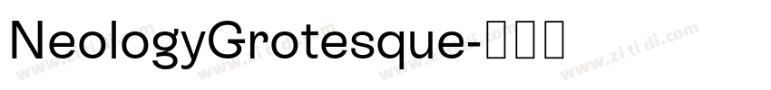 NeologyGrotesque字体转换