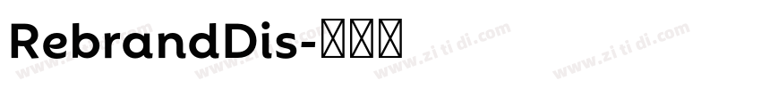 RebrandDis字体转换