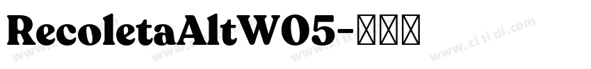 RecoletaAltW05字体转换