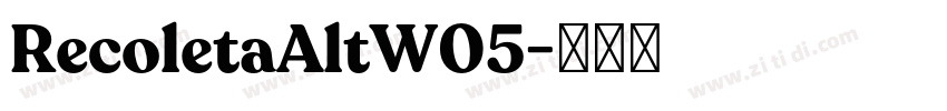 RecoletaAltW05字体转换