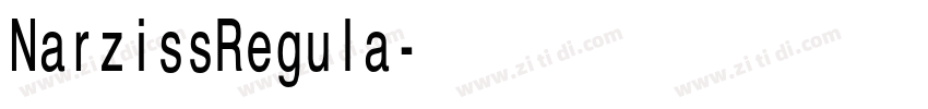 NarzissRegula字体转换