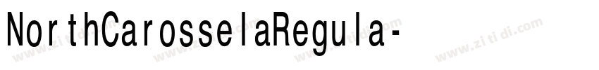 NorthCarosselaRegula字体转换
