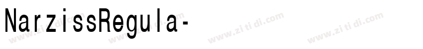 NarzissRegula字体转换