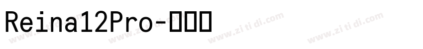 Reina12Pro字体转换 Reina12Pro字体转换