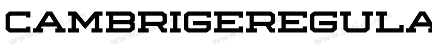 CambrigeRegular字体转换 CambrigeRegular字体转换