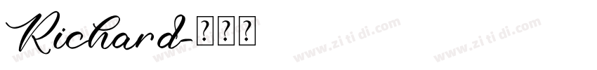 Richard字体转换