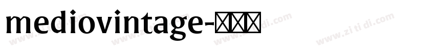 mediovintage字体转换