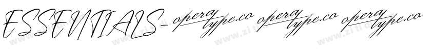 ESSENTIALS字体转换