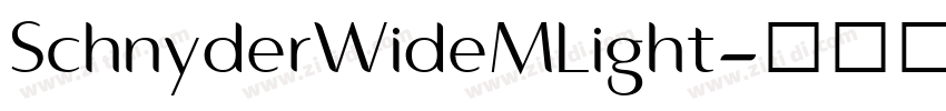 SchnyderWideMLight字体转换
