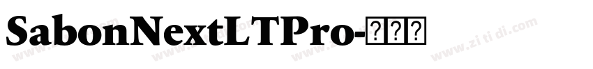 SabonNextLTPro字体转换 SabonNextLTPro字体转换