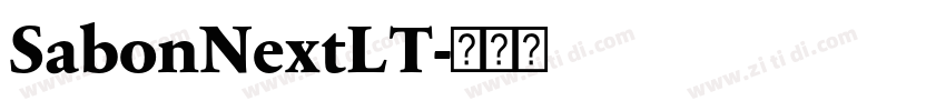 SabonNextLT字体转换