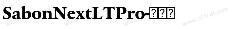 SabonNextLTPro字体转换 SabonNextLTPro字体转换