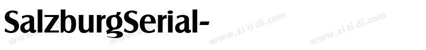 SalzburgSerial字体转换 SalzburgSerial字体转换