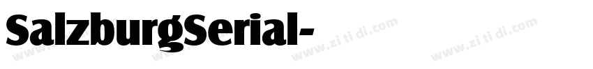 SalzburgSerial字体转换 SalzburgSerial字体转换