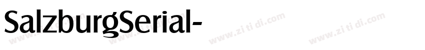 SalzburgSerial字体转换 SalzburgSerial字体转换