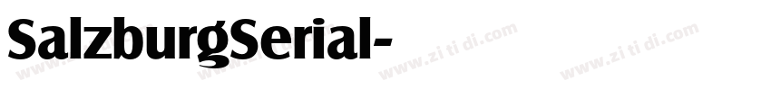 SalzburgSerial字体转换 SalzburgSerial字体转换