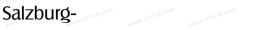 Salzburg字体转换 Salzburg字体转换