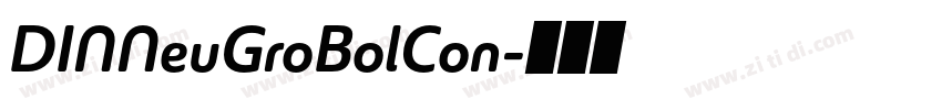 DINNeuGroBolCon字体转换