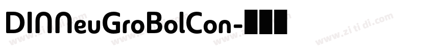 DINNeuGroBolCon字体转换