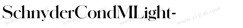 SchnyderCondMLight字体转换 SchnyderCondMLight字体转换