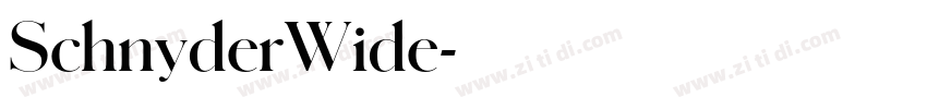 SchnyderWide字体转换 SchnyderWide字体转换