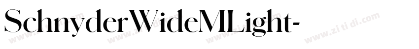 SchnyderWideMLight字体转换