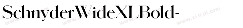 SchnyderWideXLBold字体转换